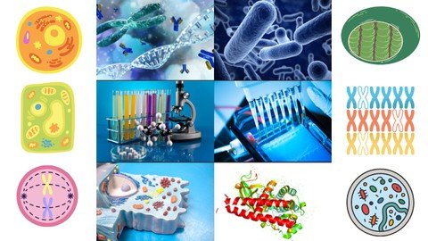 Cell Biology 2023 – [UDEMY]