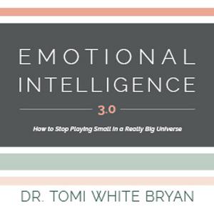 Emotional Intelligence 3.0 How to Stop Playing Small in a Really Big Universe [Audiobook]