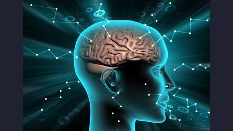 Effective Strategies To Implement After A Brain Injury – [UDEMY]