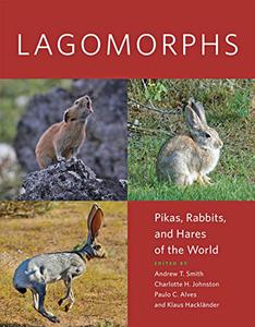 Lagomorphs Pikas, Rabbits, and Hares of the World