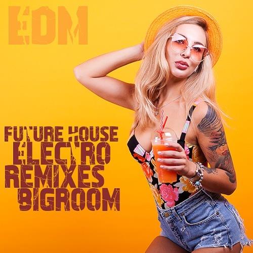 Future House Electro Remixes EDM Bigroom (2023)