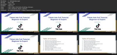 Tiktok Ads Full Tutorial: From Beginner To  Expert 94d3cfe5c0b88407f670b61a2ec9dc0c
