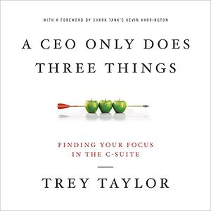 A CEO Only Does Three Things Finding Your Focus in the C-Suite [Audiobook]