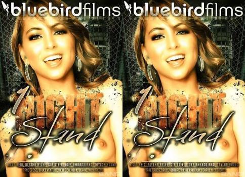 One Night Stands (Bigtits, Dirty Talk) [2023 | FullHD]