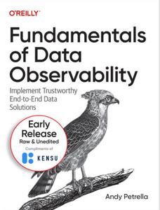 Fundamentals of Data Observability