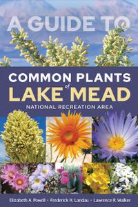A Guide to Common Plants of Lake Mead National Recreation Area
