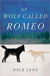 A Wolf Called Romeo Ed 2