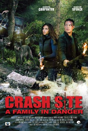 Crash Site 2011 1080p BluRay x265-RARBG