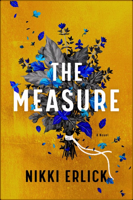 The Measure by Nikki Erlick