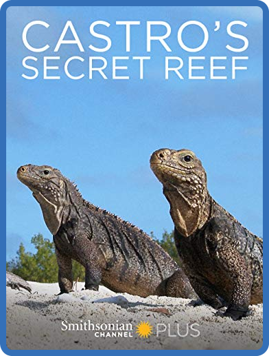 Castros Secret Reef (2016) 720p WEBRip x264 AAC-YTS