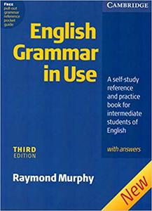 English Grammar In Use with Answers A Self-study Reference and Practice Book for Intermediate Students of English Ed 3