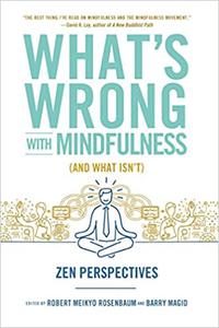 What's Wrong with Mindfulness