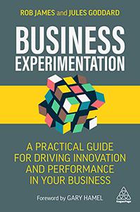 Business Experimentation A Practical Guide for Driving Innovation and Performance in Your Business