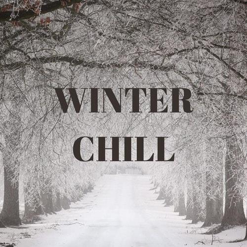 Winter Chill (2023) FLAC