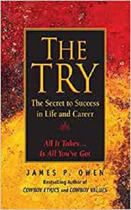 The Try The Secret to Success in Life and Career