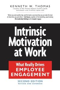 Intrinsic Motivation at Work What Really Drives Employee Engagement 