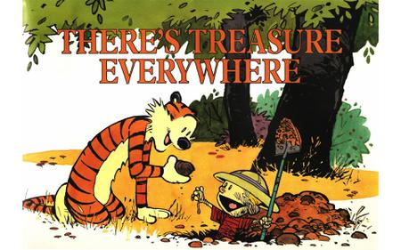 Calvin and Hobbes Complete Collection-10-Theres Treasure Everywhere REMIX