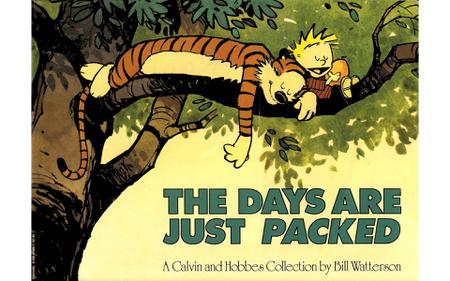 Calvin and Hobbes Complete Collection-08-The Days are Just Packed REMIX