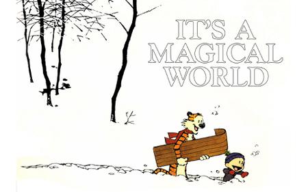 Calvin and Hobbes Complete Collection-11-Its a Magical World REMIX