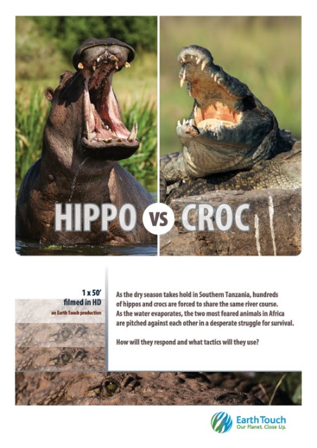 Hippo vs Croc 2014 1080p DSNP WEBRip DDP5 1 x264-FLUX