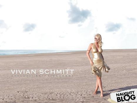 Vivian Schmitt - Pornstar Collection (Doubleanal, Cum On Tits) [2023 | FullHD]