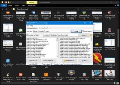 VovSoft Picture Downloader 2.5 Portable