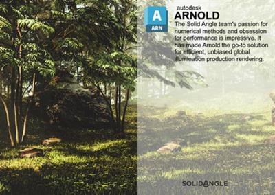 Solid Angle Cinema 4D to Arnold 4.5.1.2 (x64)
