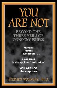 You Are Not Beyond the Three Veils of Consciousness