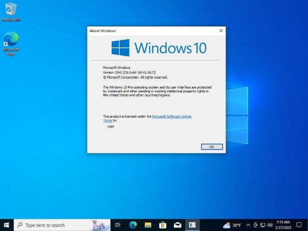 Windows 10 Pro Version 22H2 Build 19045.2673 3in1 OEM ESD en-US x64 February 2023