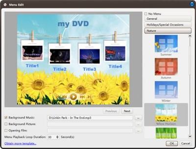 ImTOO DVD Creator 7.1.4.20230228  Multilingual