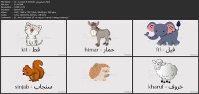 Arabic For Beginners: Your  Complete Guide From Zero | Youny 209a8e74c7d8e950a77c443b02a99213