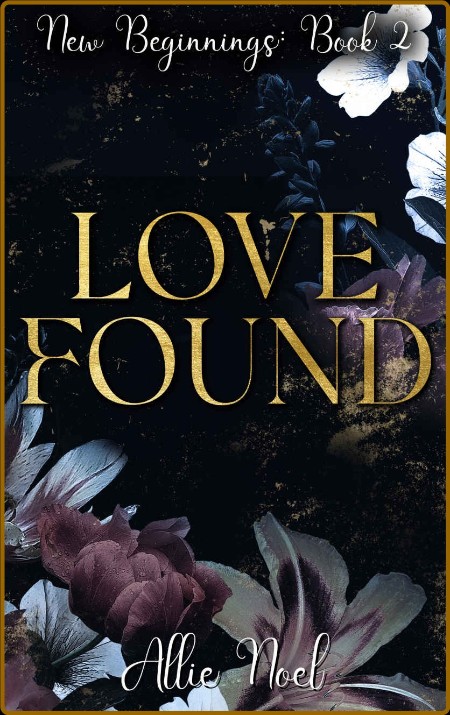 Love Found  New Beginnings Book - Allie Noel