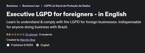 Executive LGPD for foreigners –  in English –  Download Free