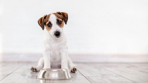 Puppies And Their Health –  The Online Course –  Download Free