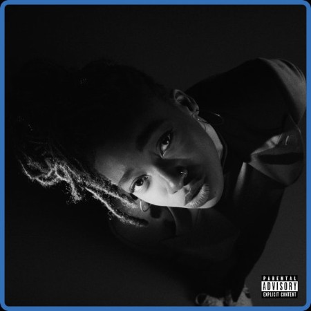 Little Simz - Grey Area (2019)