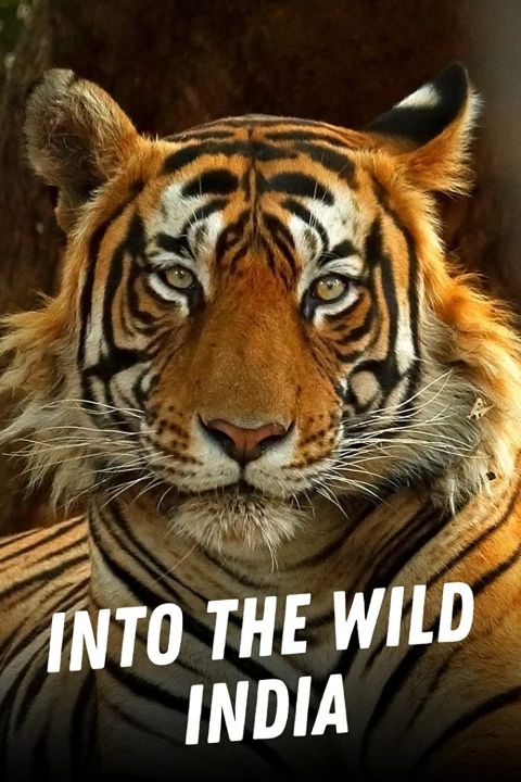 Dzika przyroda Indii / Into the Wild: India (2018) [SEZON 1] PL.1080i.HDTV.H264-B89 | POLSKI LEKTOR