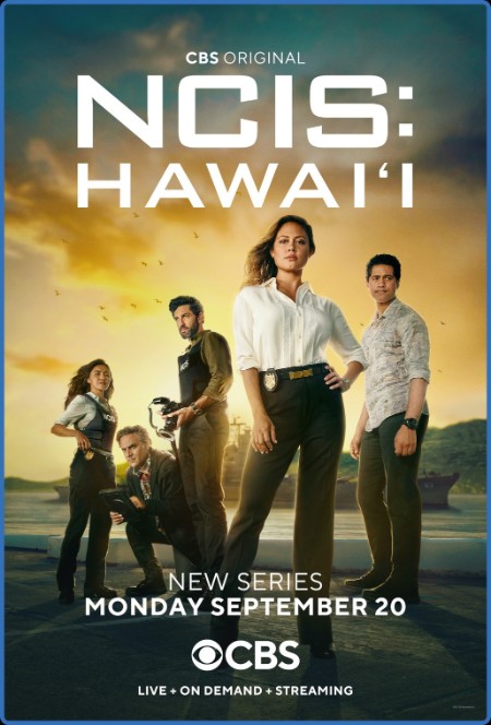 NCIS Hawaii S02E15 1080p HEVC x265-MeGusta