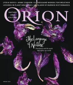 Orion – 10 February 2023