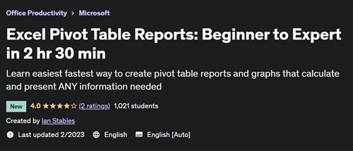 Excel Pivot Table Reports Beginner to Expert in 2 hr 30 min –  Download Free