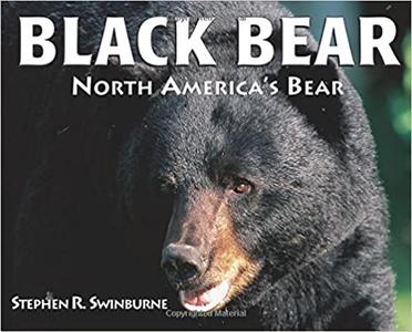 Black Bear North America’s Bear