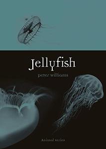 Jellyfish (Animal)