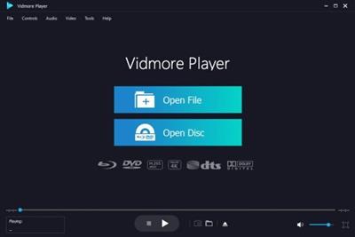 Vidmore Player 1.1.38  Multilingual