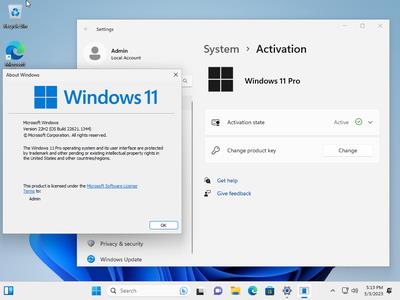 Windows 11 Pro 22H2 Build 22621.1344 (No TPM Required) Preactivated Multilingual (x64)