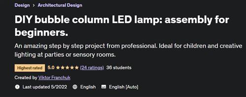 DIY bubble column LED lamp assembly for beginners