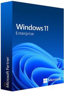 Windows 11 Enterprise 22H2 Build 22621.1344 (No TPM Required) Preactivated Multilingual (x64)