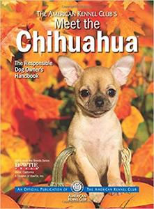 Meet the Chihuahua