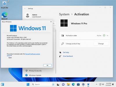 Windows 11 Pro 22H2 Build 22621.1344 (No TPM Required) Preactivated  Multilingual