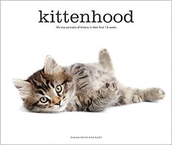 Kittenhood Life-size Portraits of Kittens in Their First 12 Weeks