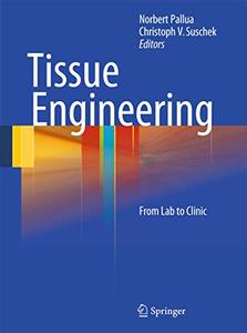 Tissue Engineering From Lab to Clinic