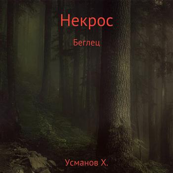 постер к Усманов Хайдарали - Некрос. Беглец (Аудиокнига)